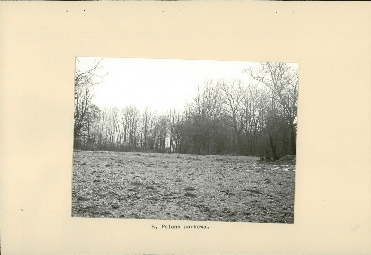 Ewidencja parkowa, skan nr 20