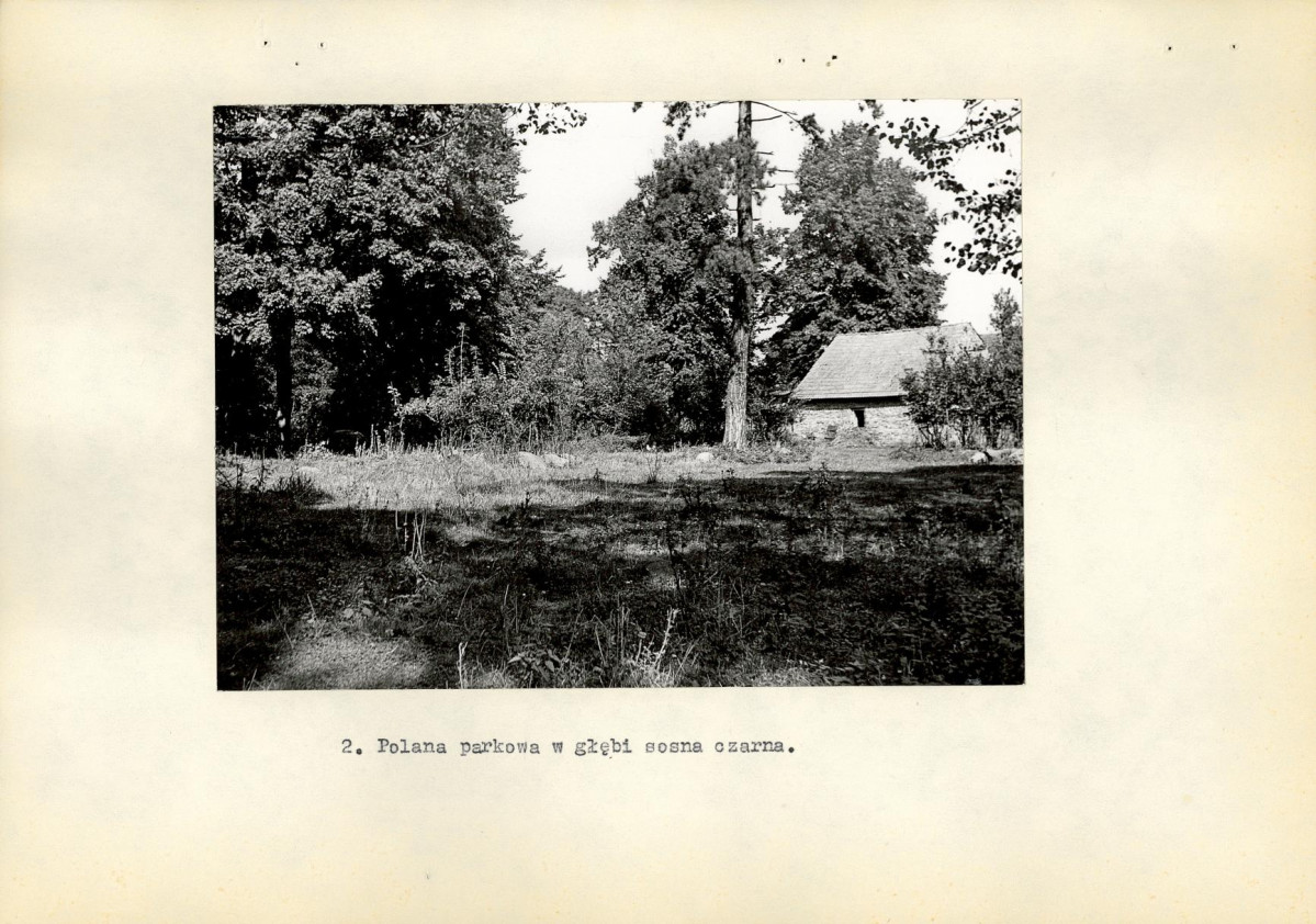 Ewidencja parkowa, skan nr 15