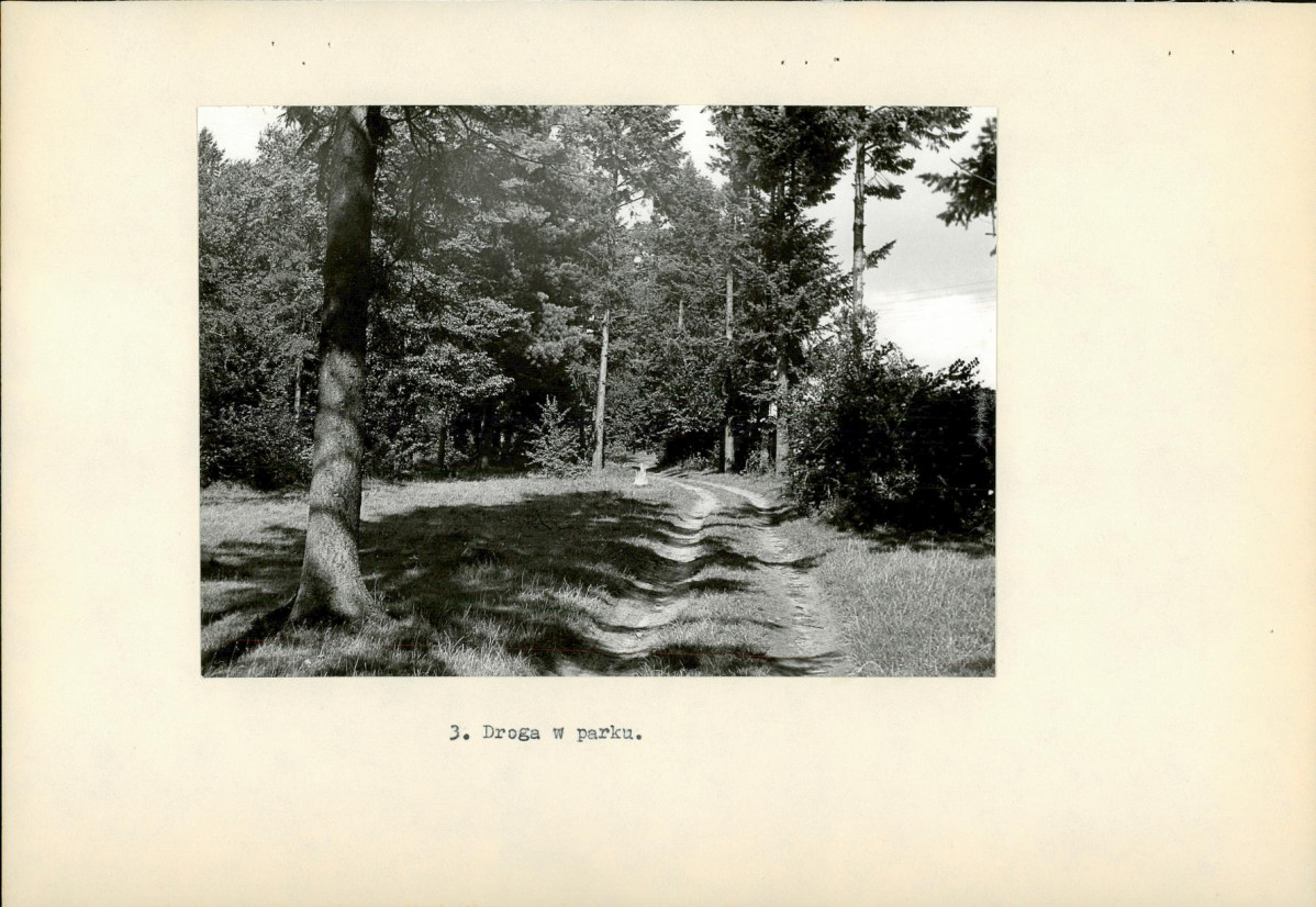 Ewidencja parkowa, skan nr 16
