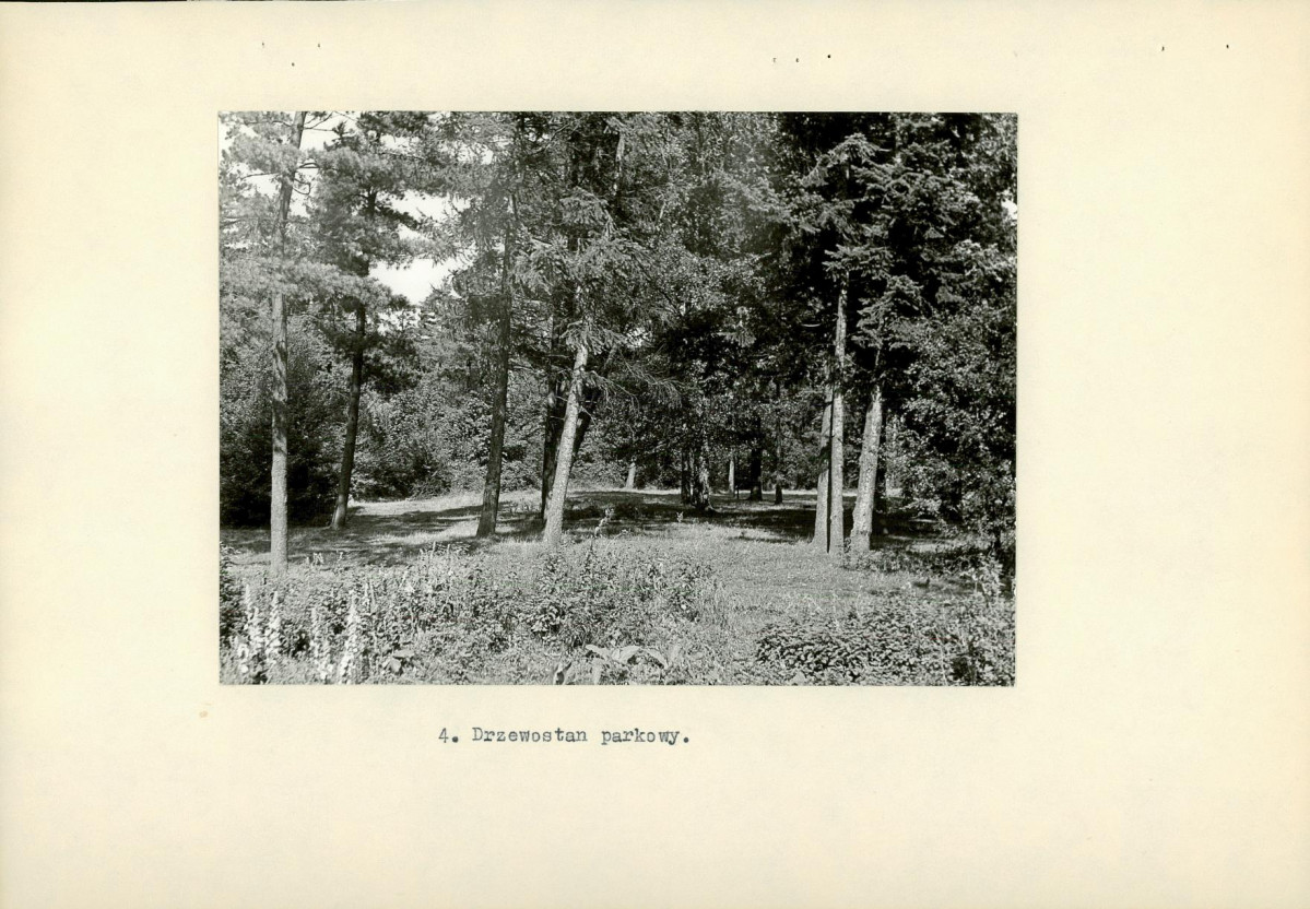 Ewidencja parkowa, skan nr 17