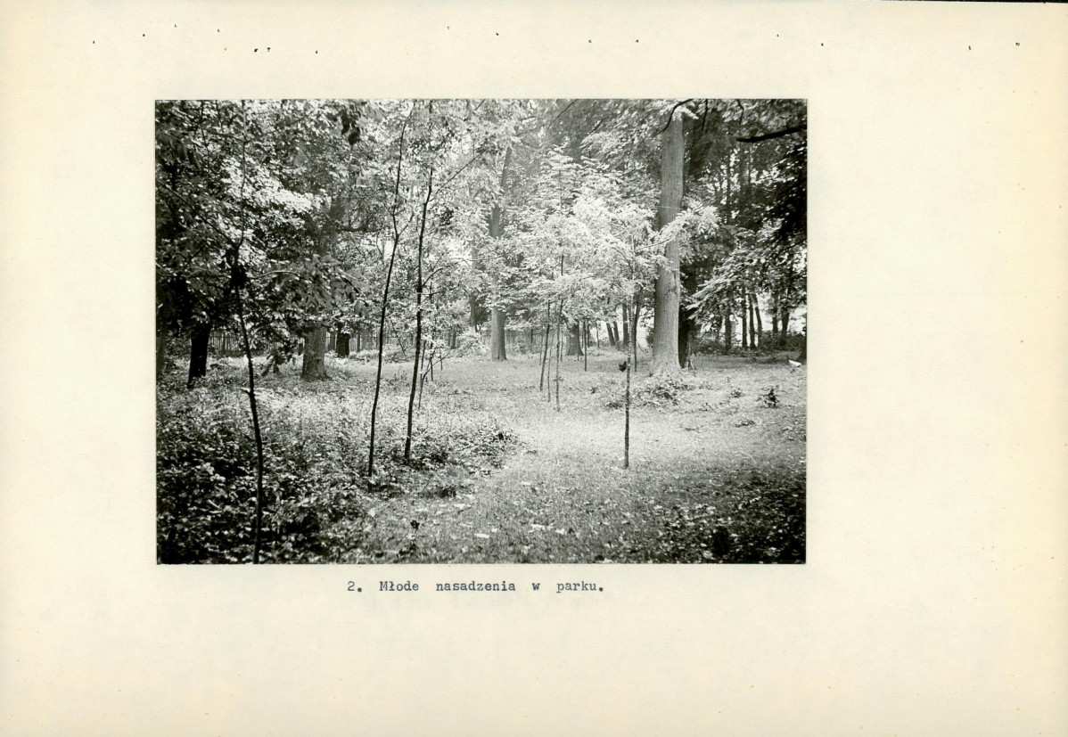 Ewidencja parkowa, skan nr 13