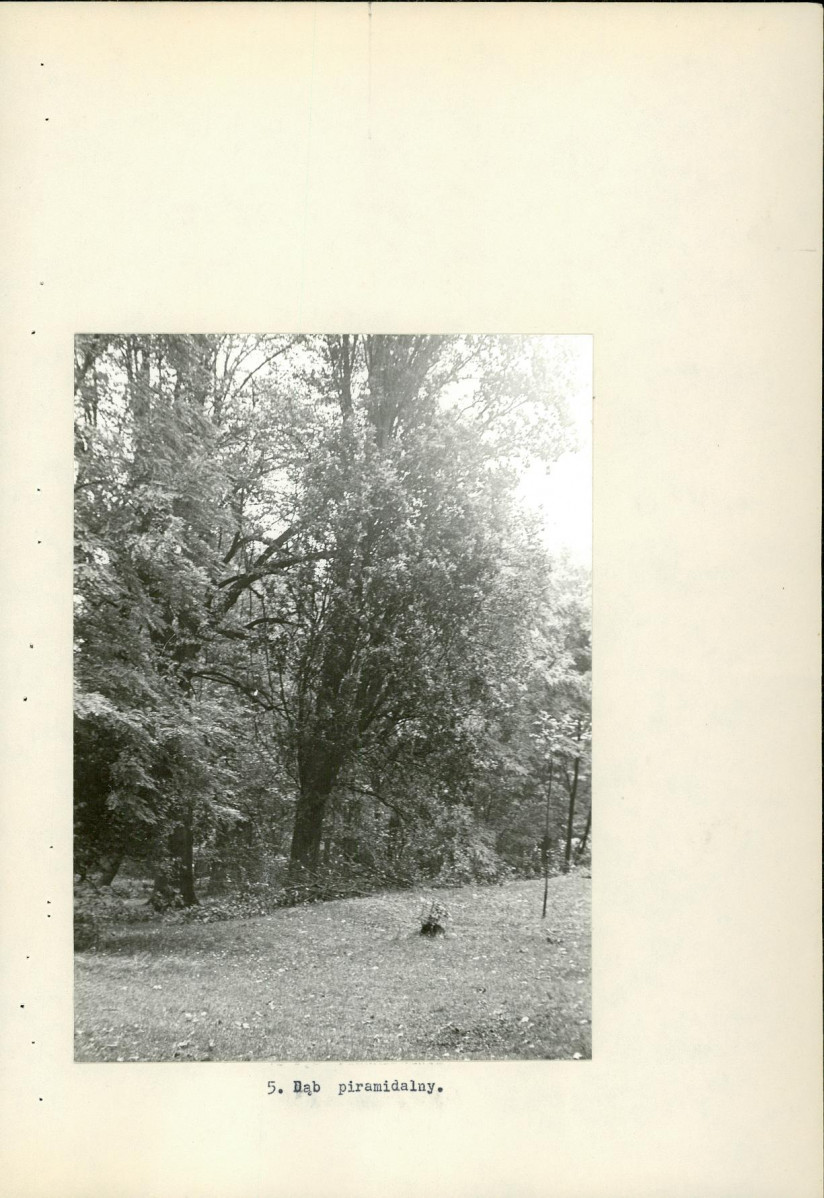 Ewidencja parkowa, skan nr 16