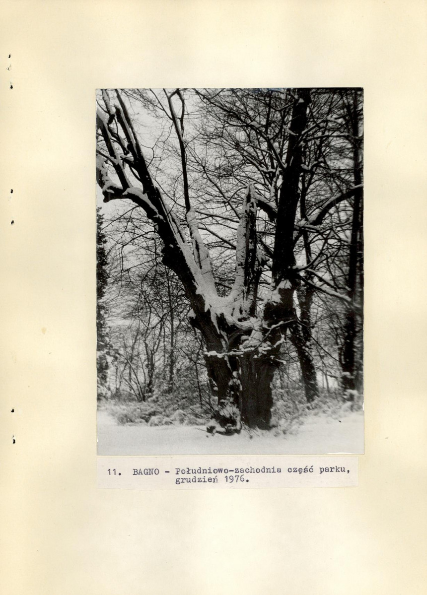 Ewidencja parkowa, skan nr 31