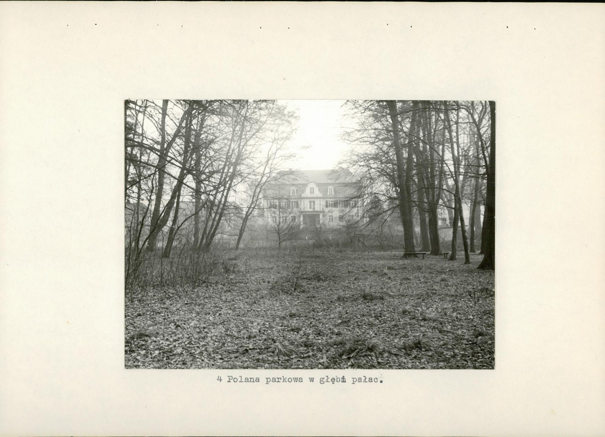 Ewidencja parkowa, skan nr 16