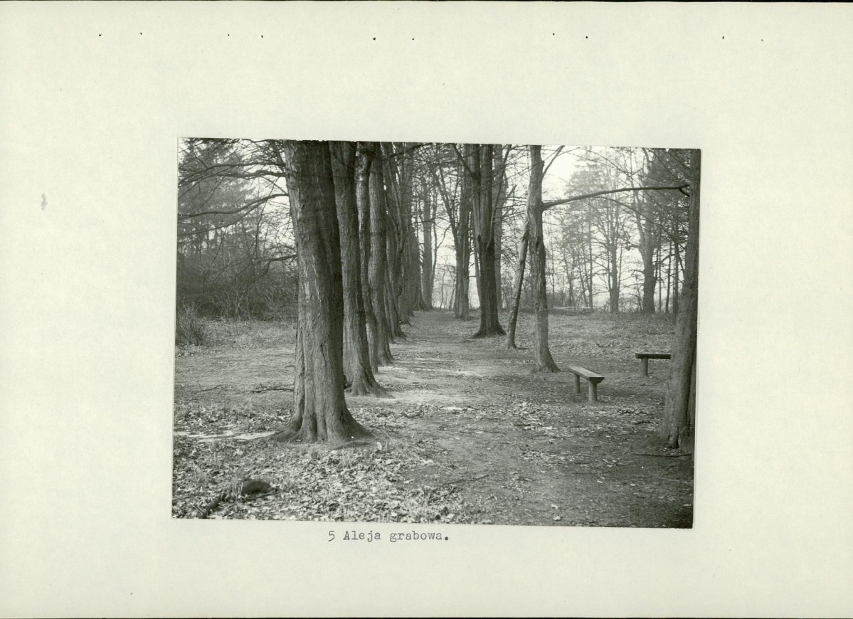 Ewidencja parkowa, skan nr 17