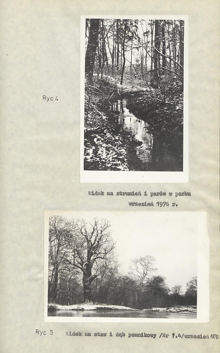 Ewidencja parkowa, skan nr 19