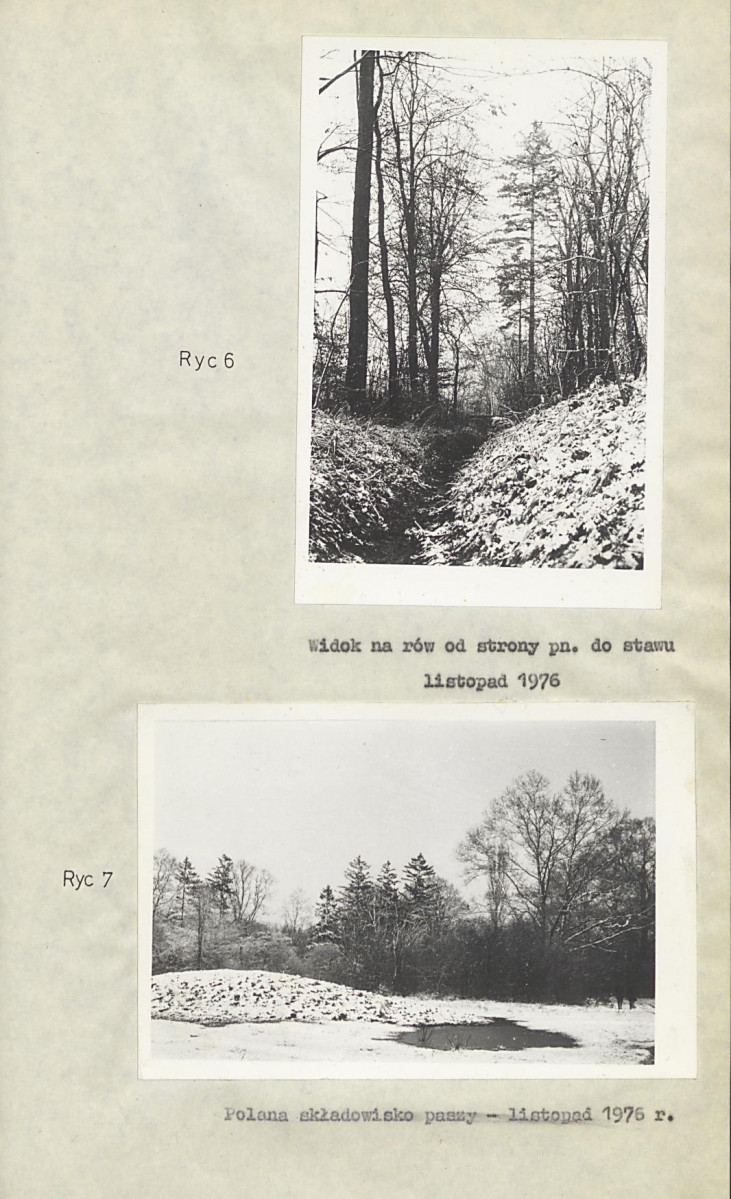 Ewidencja parkowa, skan nr 20