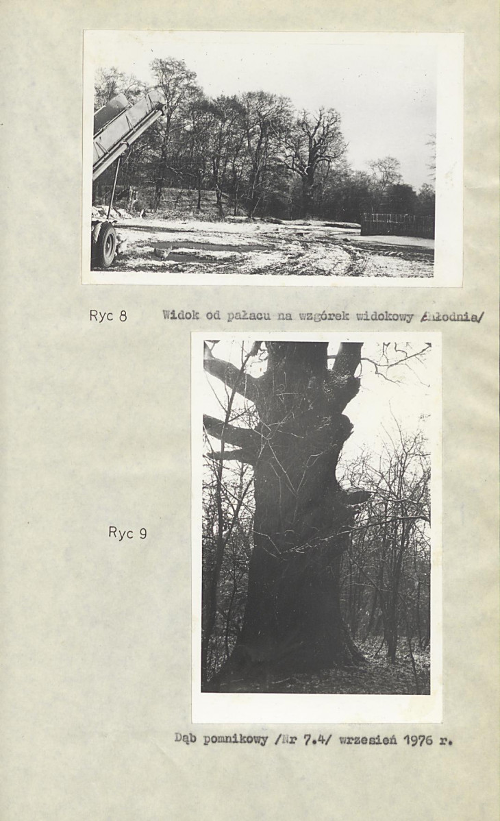 Ewidencja parkowa, skan nr 21