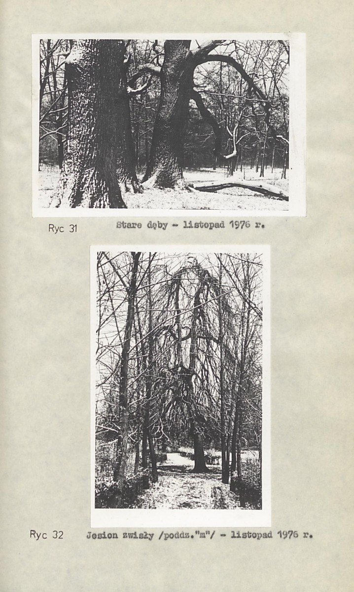 Ewidencja parkowa, skan nr 40