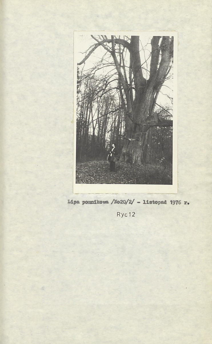 Ewidencja parkowa, skan nr 24