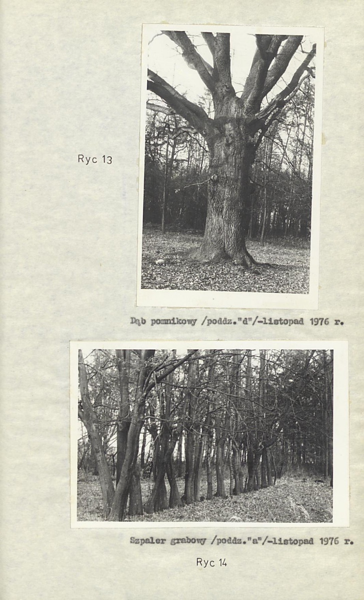 Ewidencja parkowa, skan nr 25
