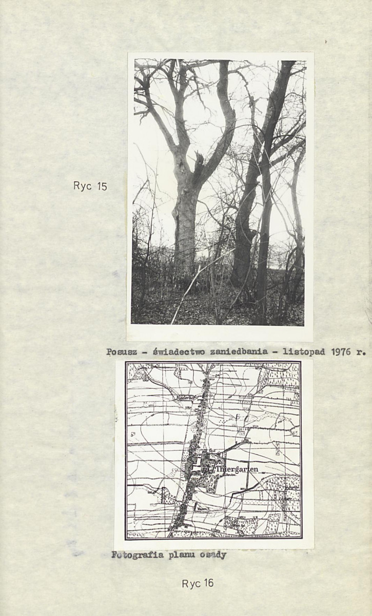 Ewidencja parkowa, skan nr 26