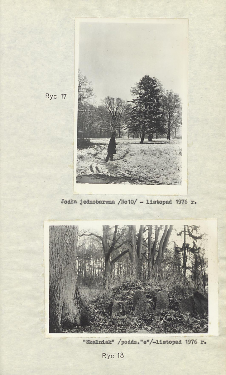 Ewidencja parkowa, skan nr 27