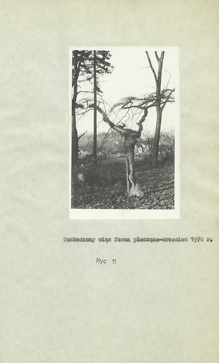 Ewidencja parkowa, skan nr 20