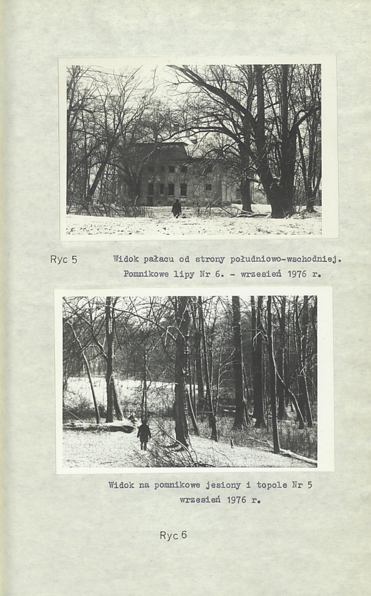 Ewidencja parkowa, skan nr 17