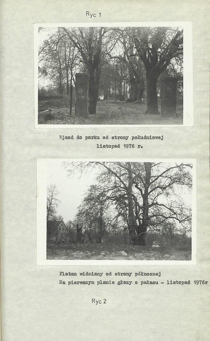 Ewidencja parkowa, skan nr 16