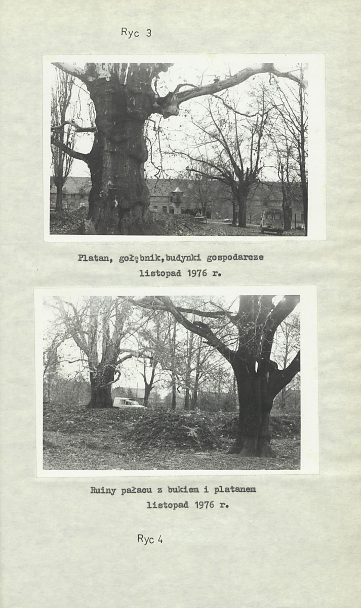 Ewidencja parkowa, skan nr 17
