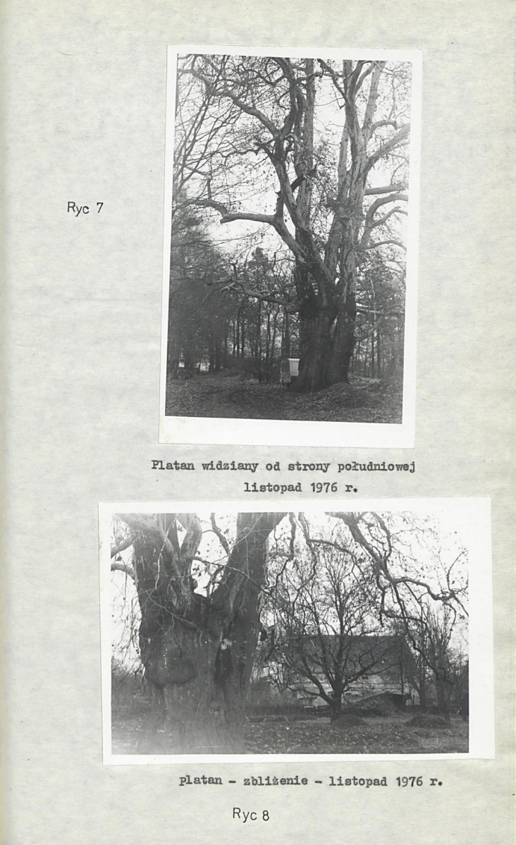 Ewidencja parkowa, skan nr 19