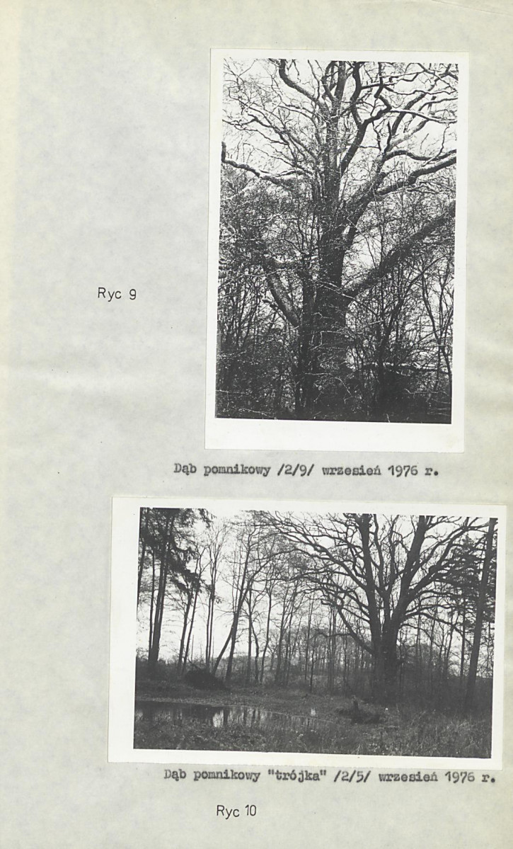 Ewidencja parkowa, skan nr 20
