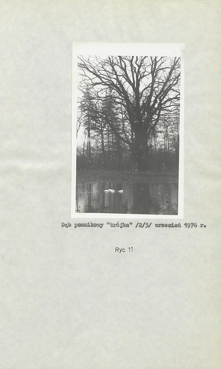 Ewidencja parkowa, skan nr 21