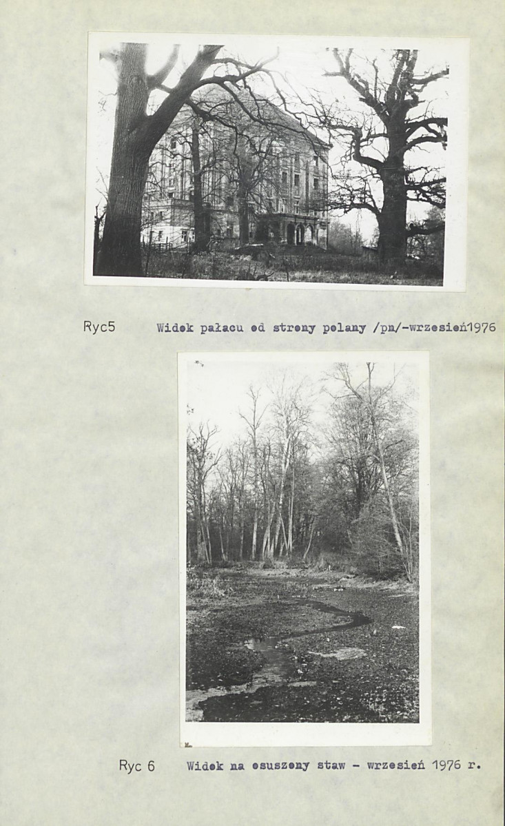 Ewidencja parkowa, skan nr 19