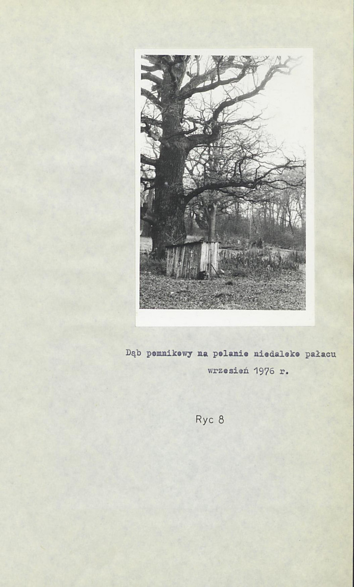 Ewidencja parkowa, skan nr 21
