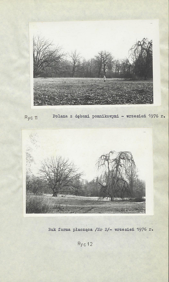 Ewidencja parkowa, skan nr 23