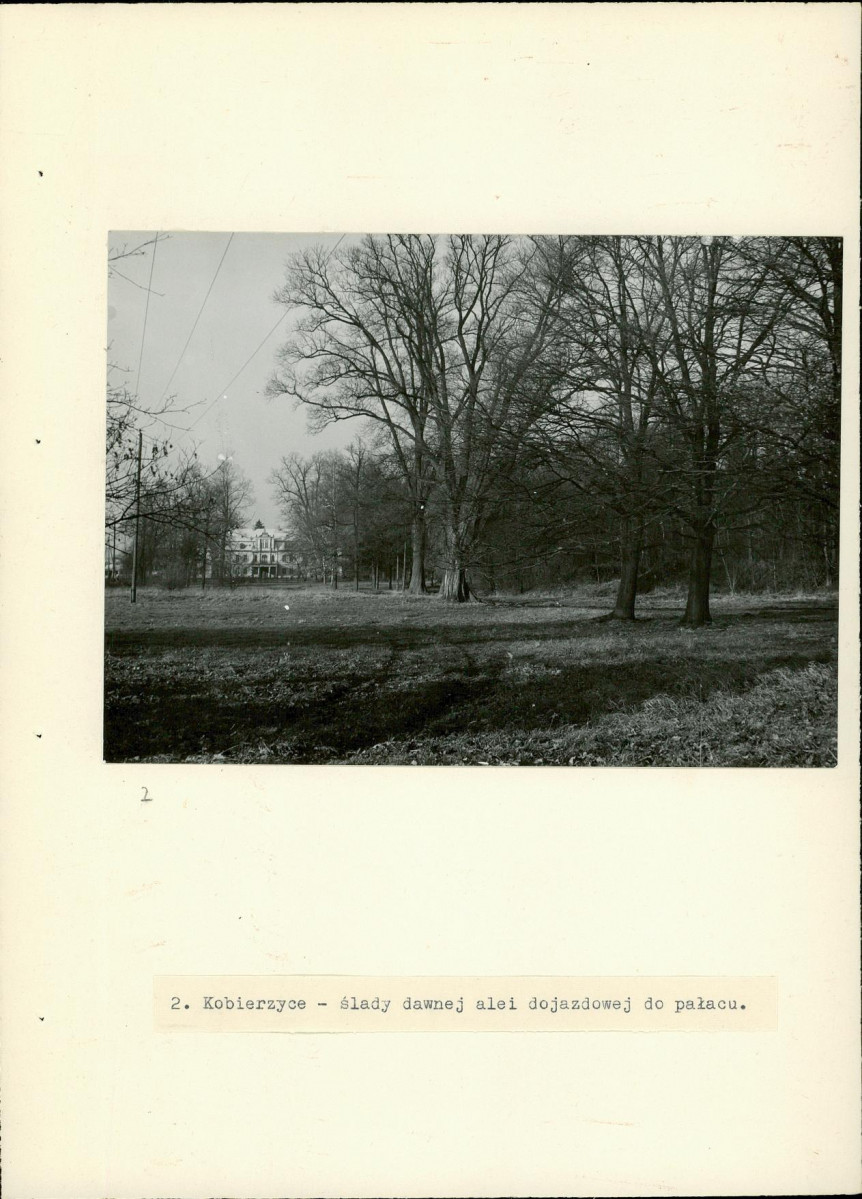 Ewidencja parkowa, skan nr 15
