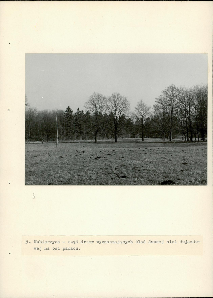 Ewidencja parkowa, skan nr 16