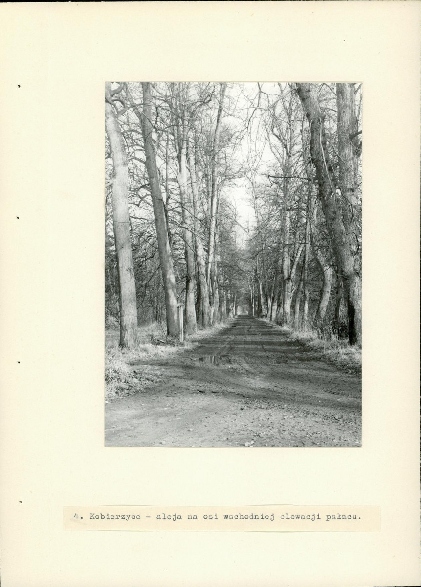 Ewidencja parkowa, skan nr 17