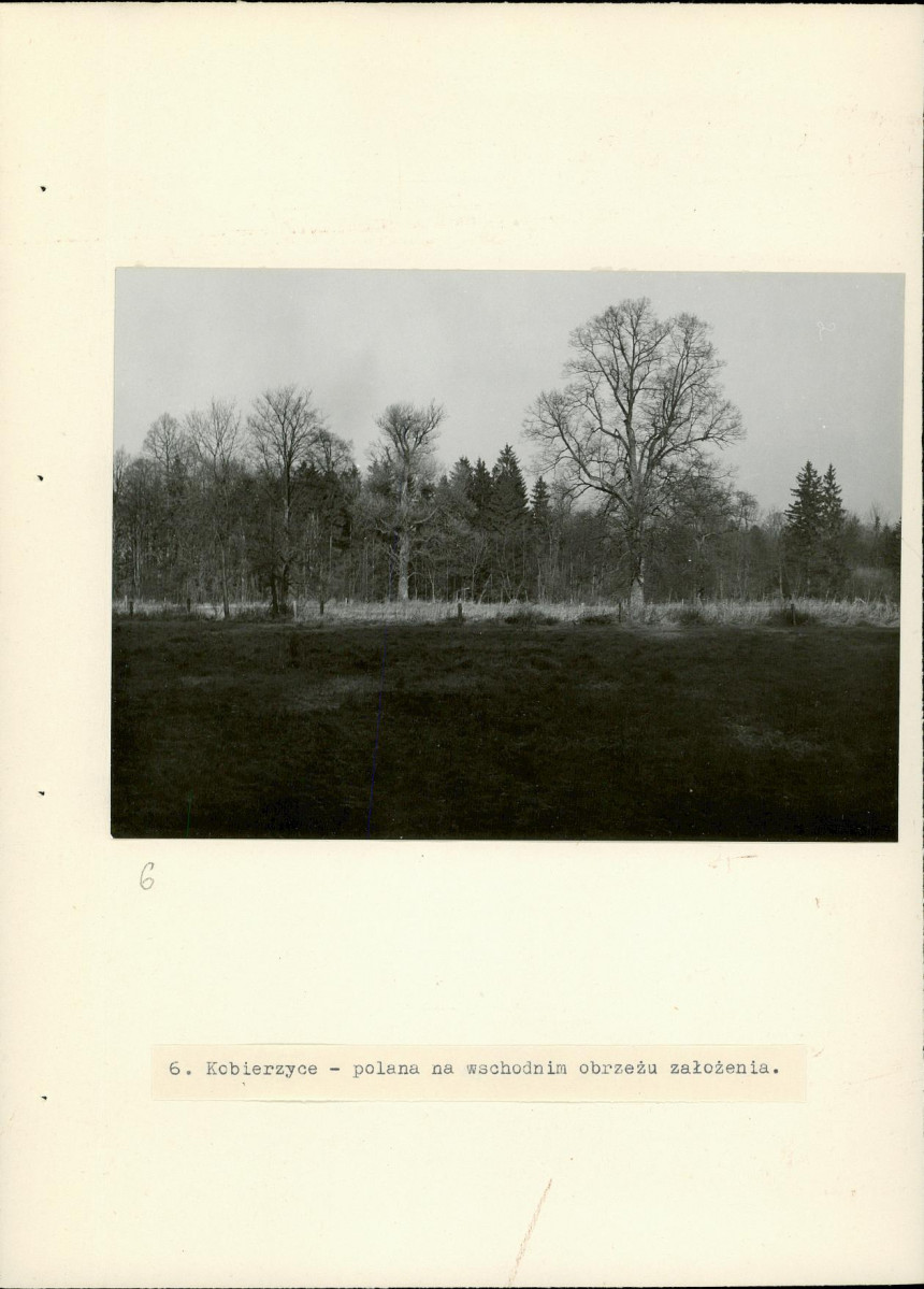 Ewidencja parkowa, skan nr 19