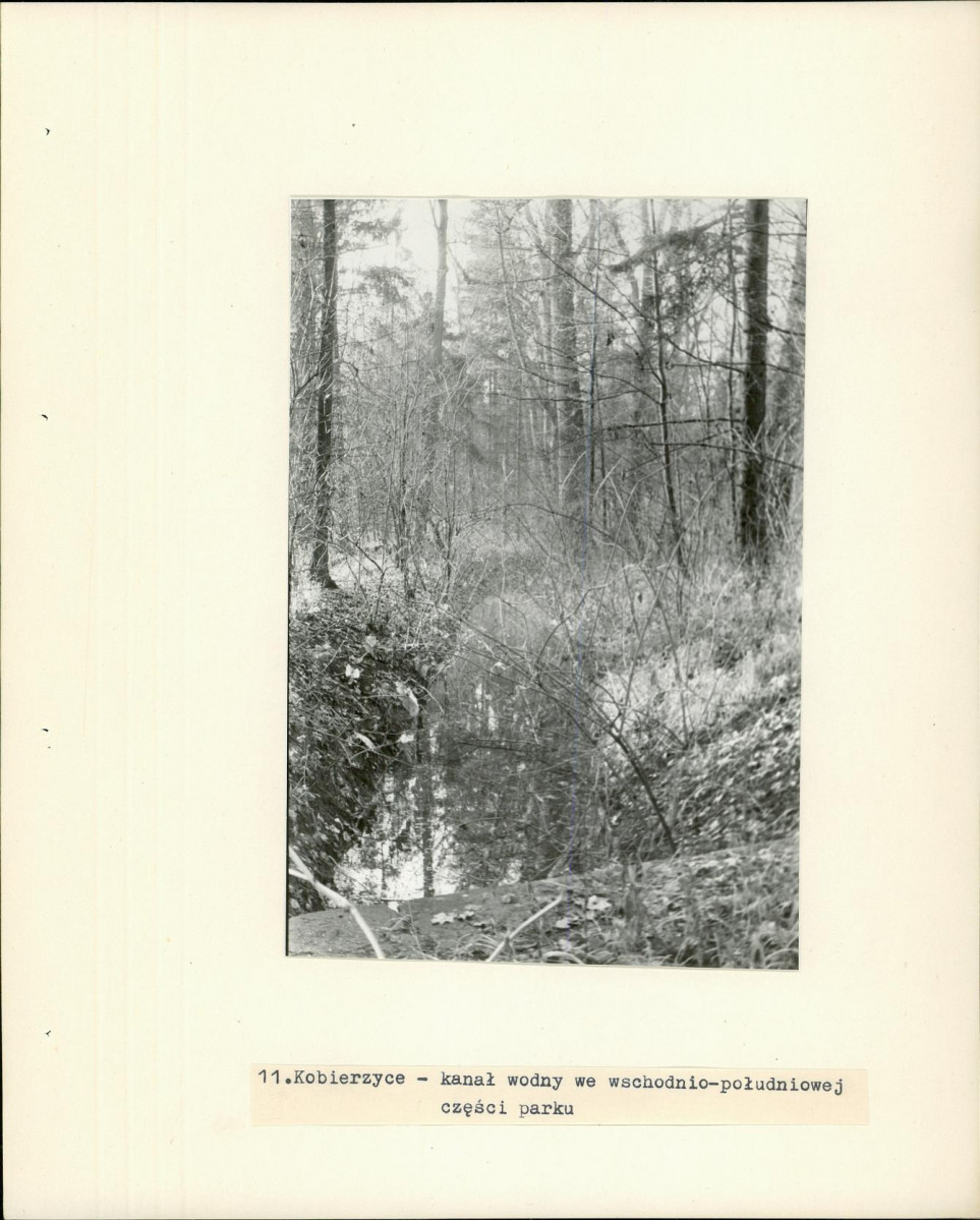 Ewidencja parkowa, skan nr 24