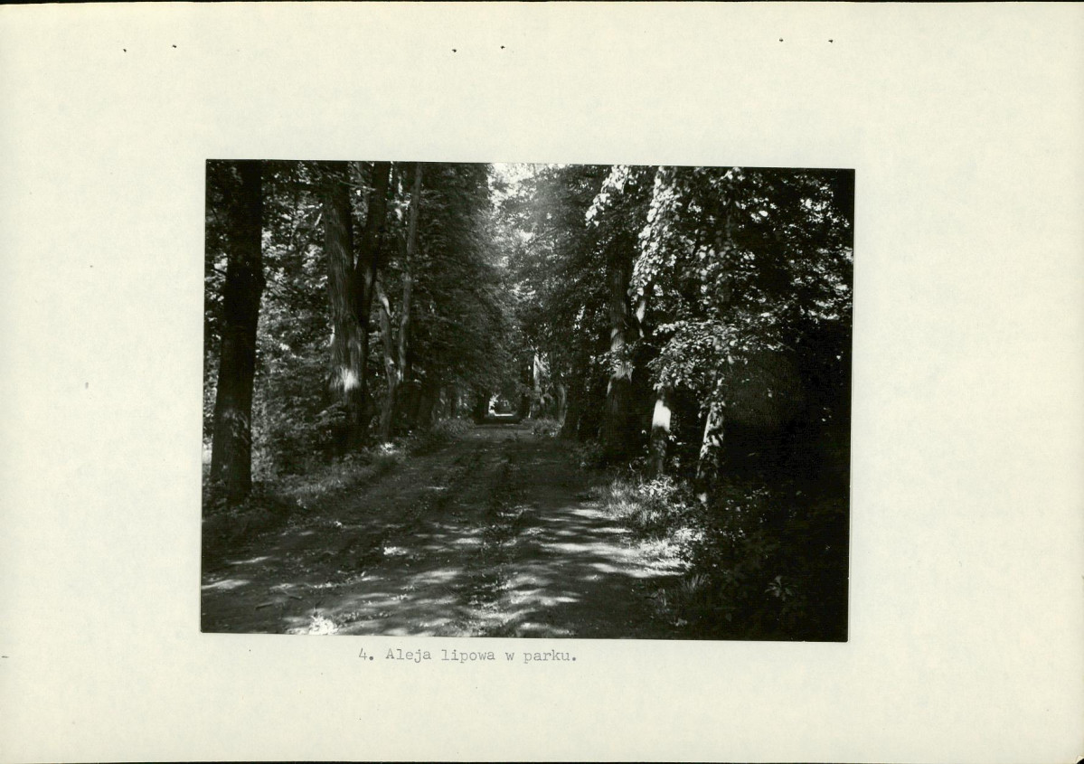 Ewidencja parkowa, skan nr 21