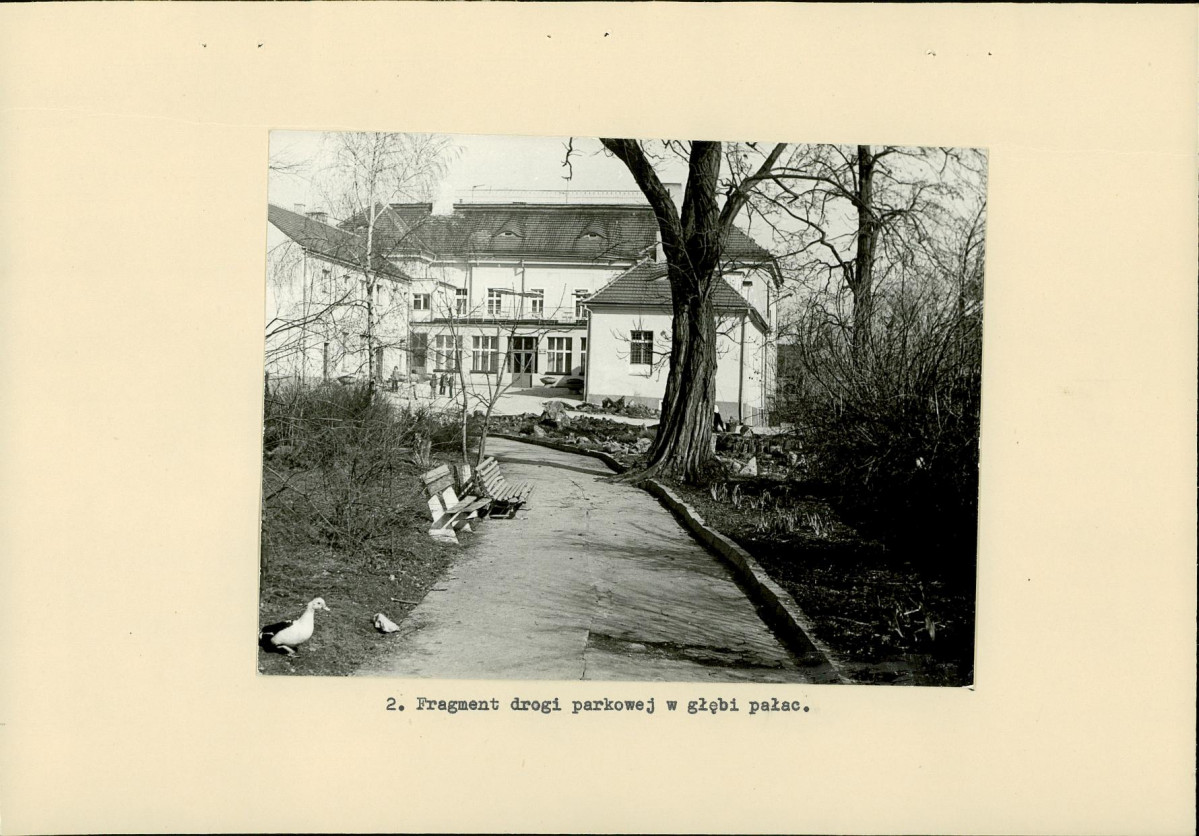 Ewidencja parkowa, skan nr 17