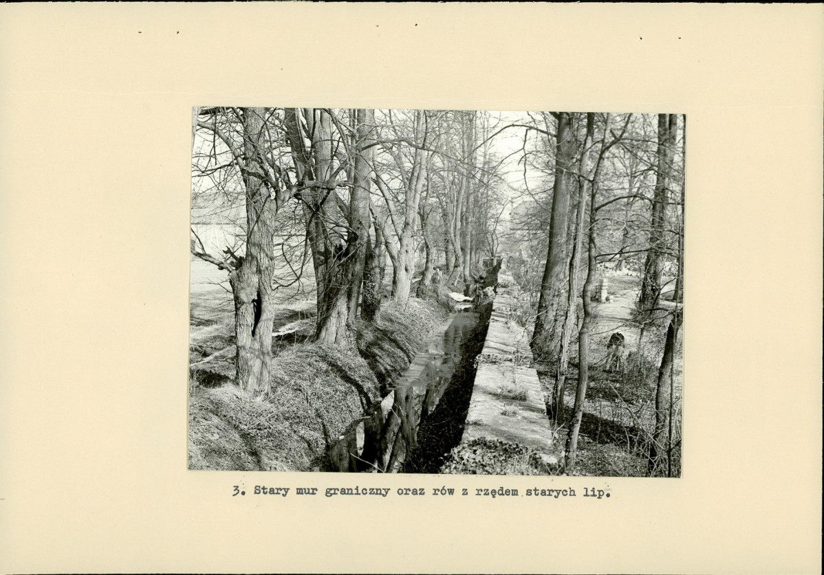 Ewidencja parkowa, skan nr 18
