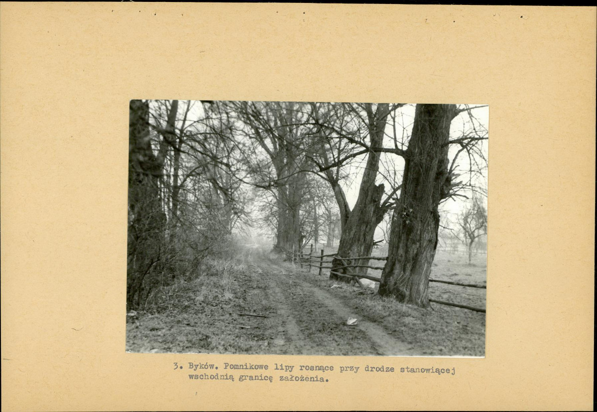 Ewidencja parkowa, skan nr 16