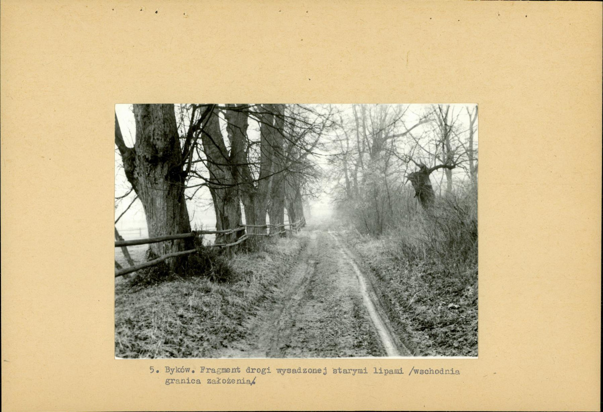 Ewidencja parkowa, skan nr 18