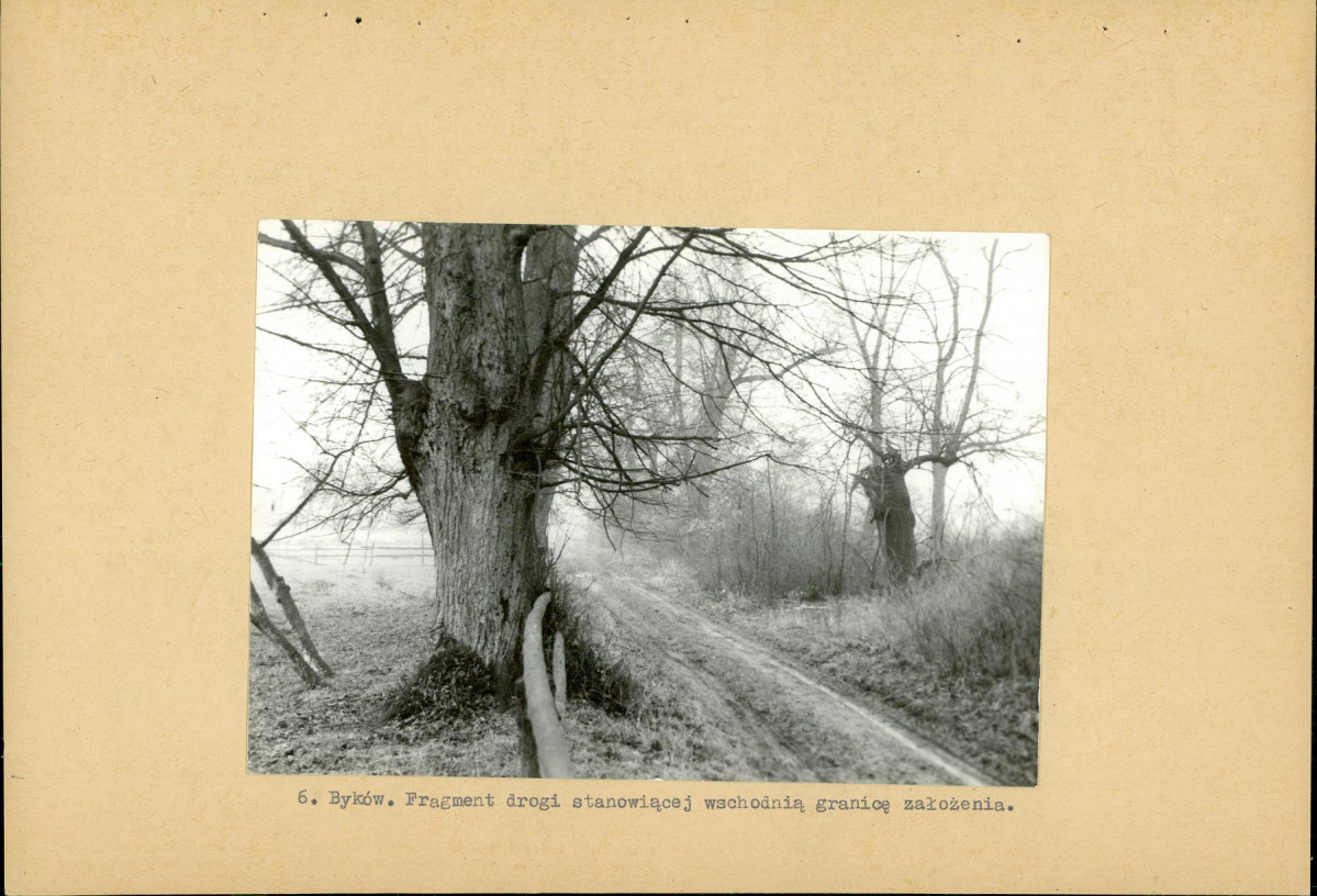 Ewidencja parkowa, skan nr 19