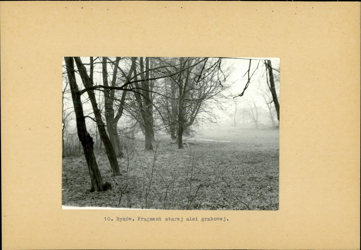 Ewidencja parkowa, skan nr 23