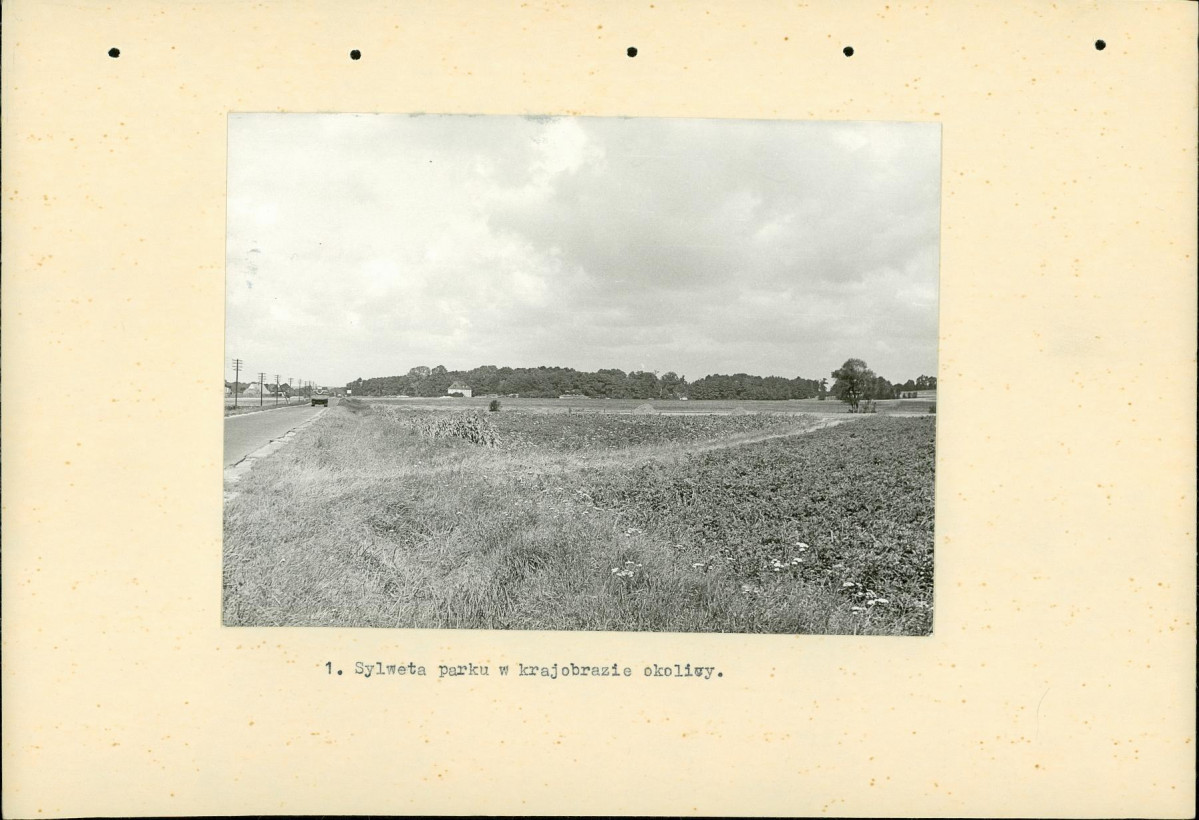 Ewidencja parkowa, skan nr 15