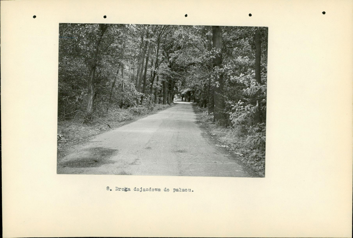 Ewidencja parkowa, skan nr 22