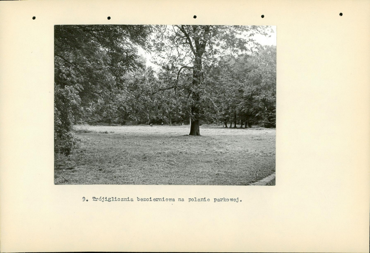 Ewidencja parkowa, skan nr 23