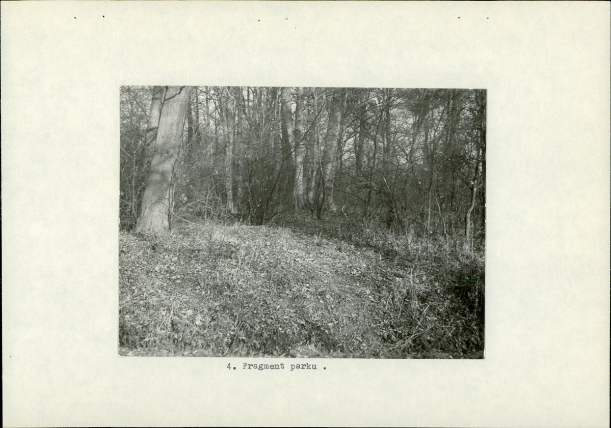 Ewidencja parkowa, skan nr 16