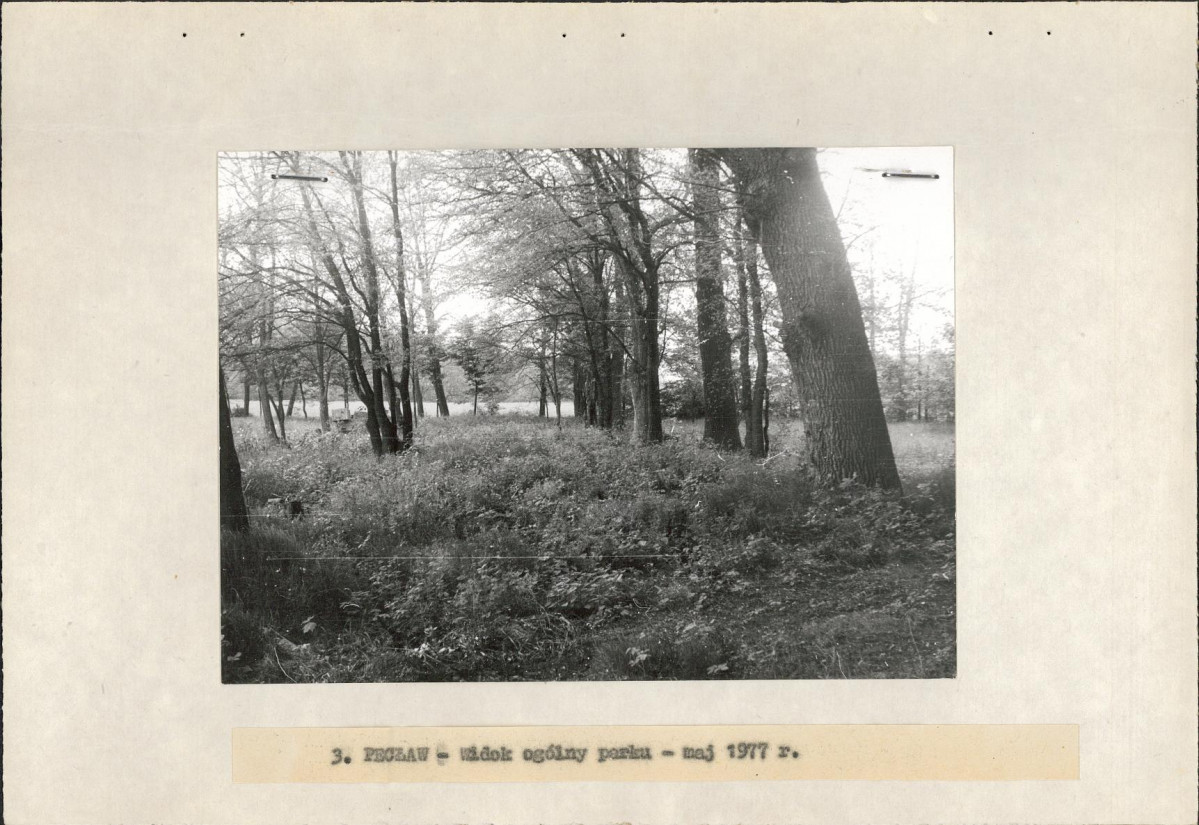 Ewidencja parkowa, skan nr 16