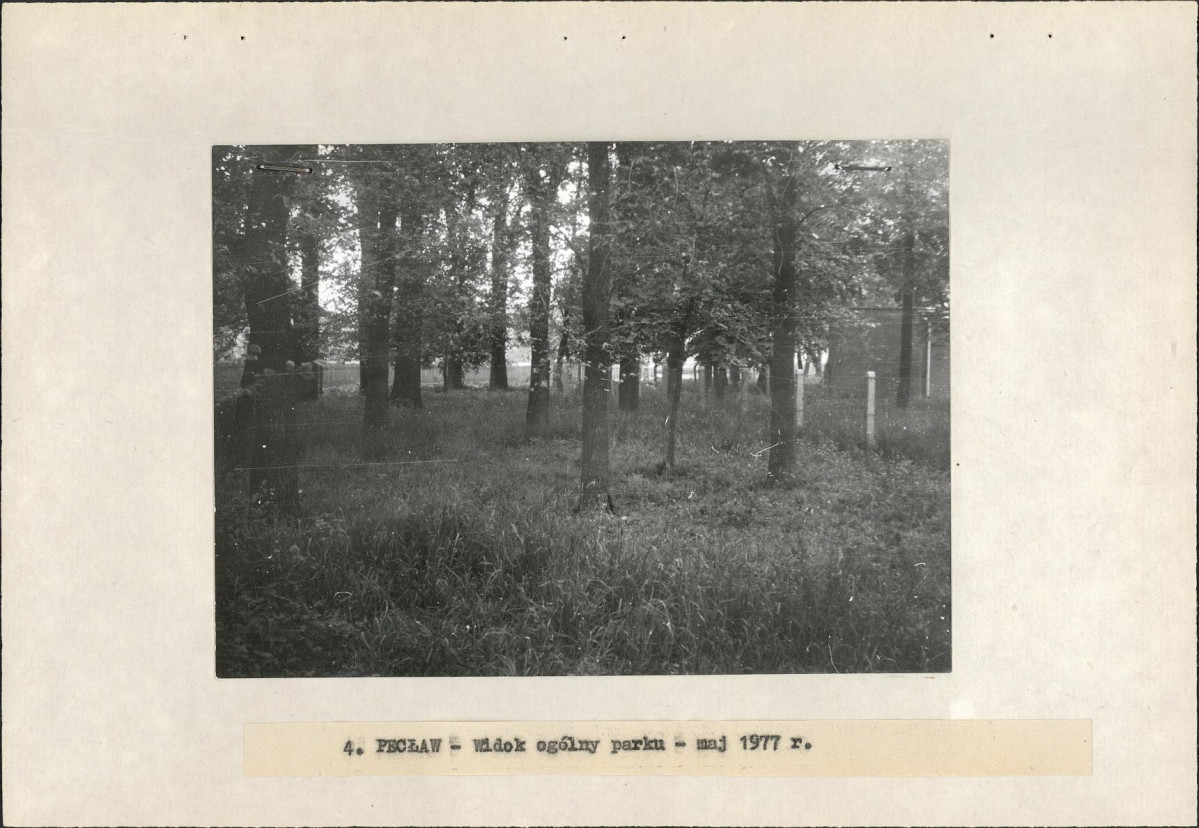 Ewidencja parkowa, skan nr 17