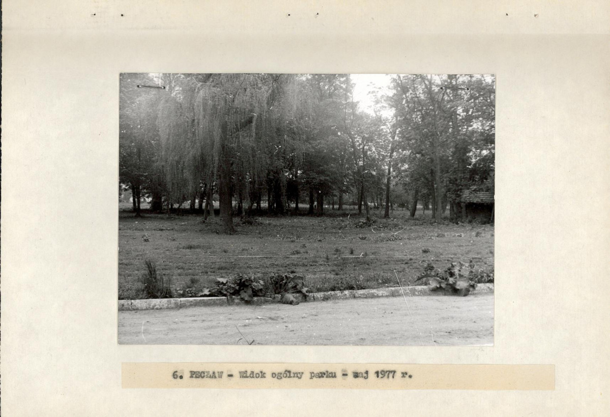 Ewidencja parkowa, skan nr 19