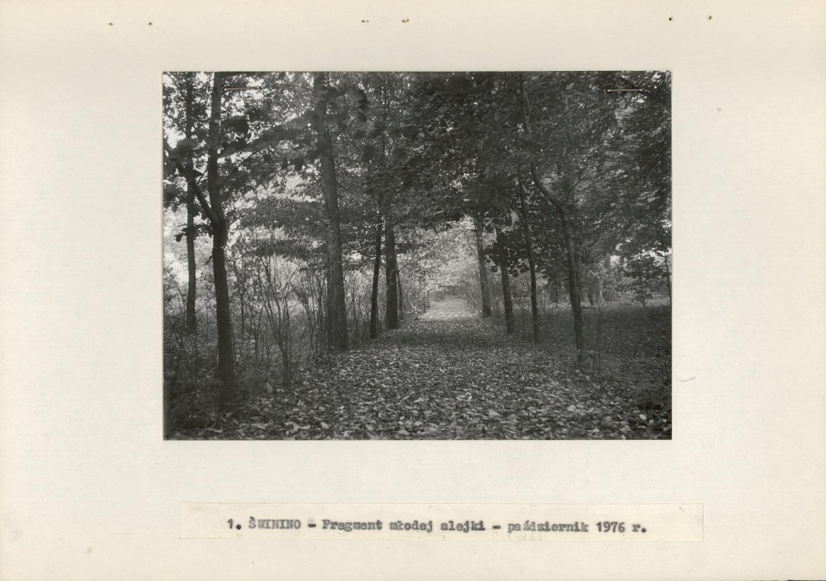 Ewidencja parkowa, skan nr 12