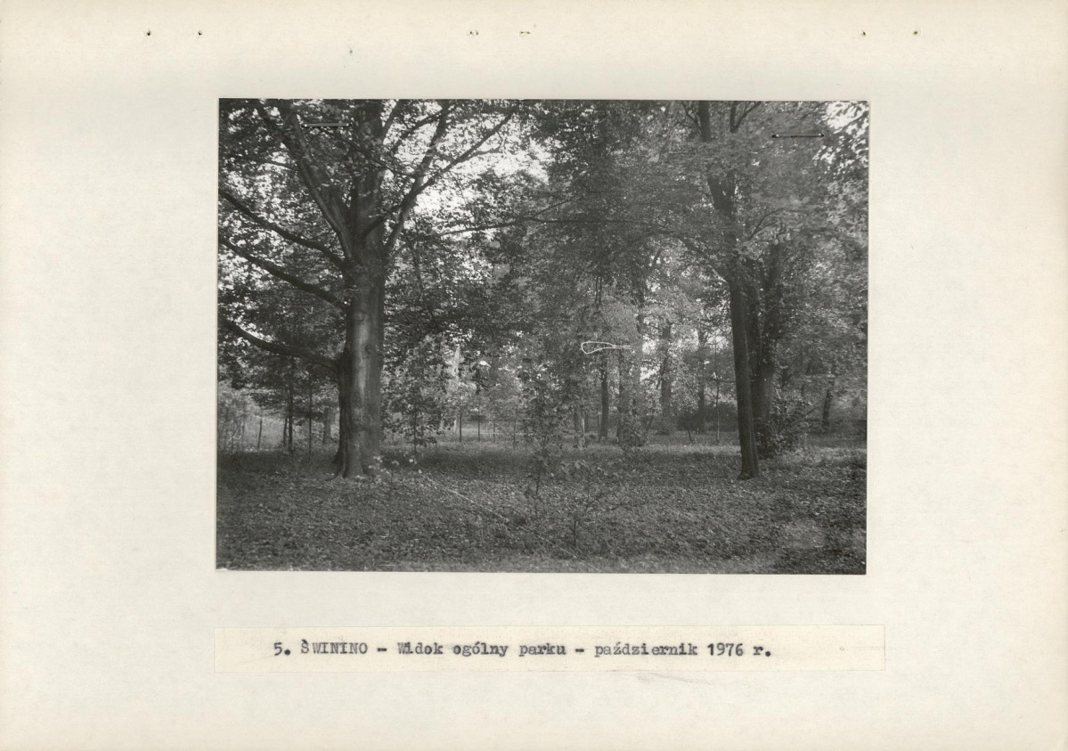 Ewidencja parkowa, skan nr 16
