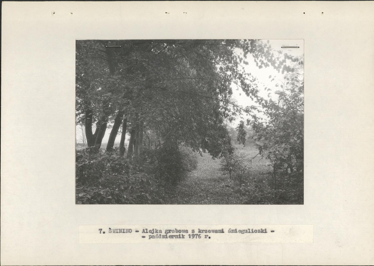 Ewidencja parkowa, skan nr 18