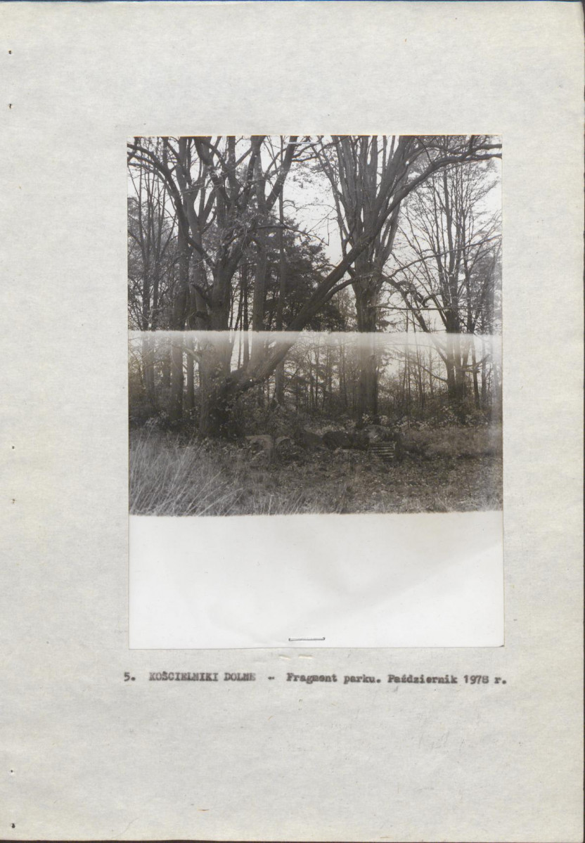 Ewidencja parkowa, skan nr 19
